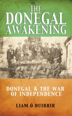 Cover of the book The Donegal Awakening by Shane MacThomais