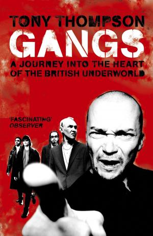 Cover of the book Gangs by Stark Holborn