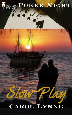 Cover of the book Slow-Play by Sean Michael
