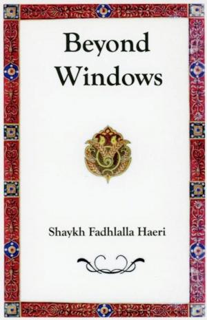Cover of the book Beyond Windows by Shaykh Abd al-Qadir al-Jilani