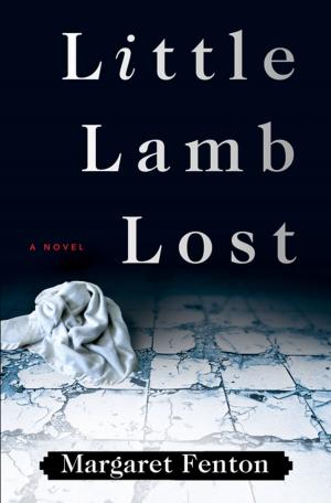 Book cover of Little Lamb Lost