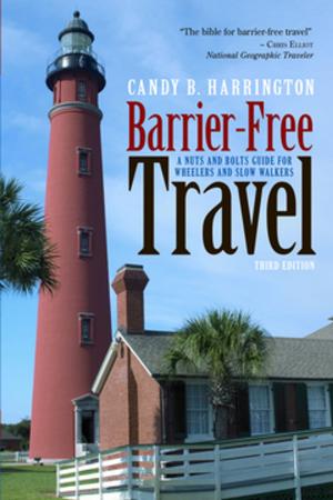 Cover of the book Barrier-Free Travel by Rita Girouard Mertig, MS, RNC, CNS, DE