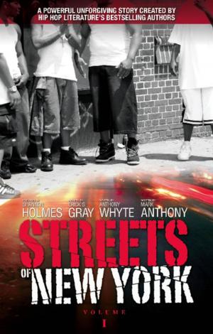Cover of the book Streets of New York by Jerry Lamothe, Anthony Whyte