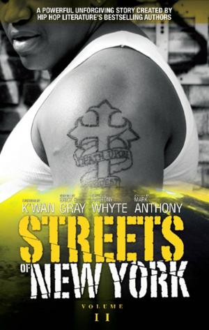 Book cover of Streets of New York