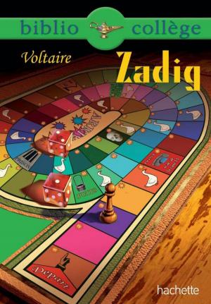 Book cover of Bibliocollège - Zadig - n° 72