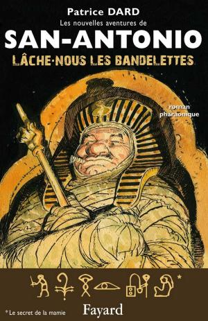 Cover of the book Lâche-nous les bandelettes by Régine Deforges