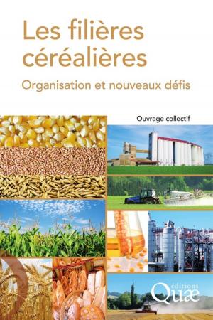 Cover of the book Les filières céréalières by Marianne Le Bail, Jean Roger-Estrade, Thierry Doré, Philippe Martin, Bertrand Ney