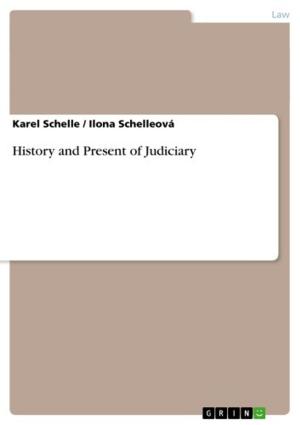 Cover of the book History and Present of Judiciary by Arkadi Borowski