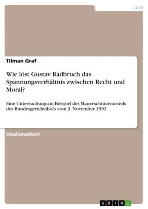 Cover of the book Wie löst Gustav Radbruch das Spannungsverhältnis zwischen Recht und Moral? by Katharina Baessler
