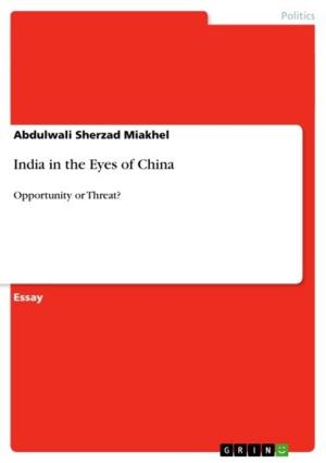 Book cover of India in the Eyes of China