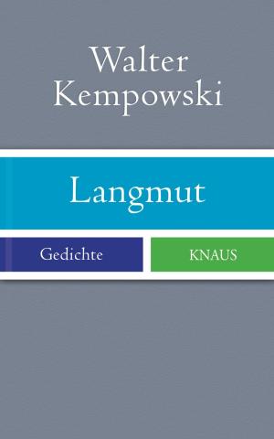 Book cover of Langmut