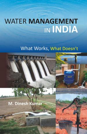 Cover of the book Water Management in India by Brigadier Rattan Kaul