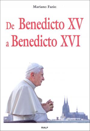 Cover of the book De Benedicto XV a Benedicto XVI by Jacques Philippe