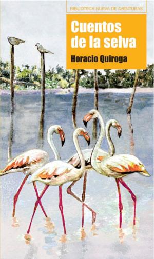 Book cover of Cuentos de la selva
