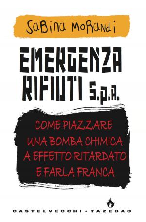 Cover of the book Emergenza rifiuti by Carlo Bordoni