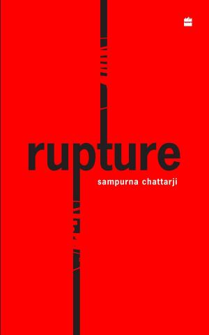 Book cover of Rupture
