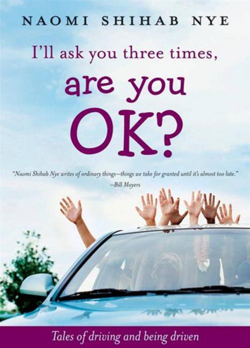 Cover of the book I'll Ask You Three Times, Are You OK? by Naomi Shihab Nye, Greenwillow Books