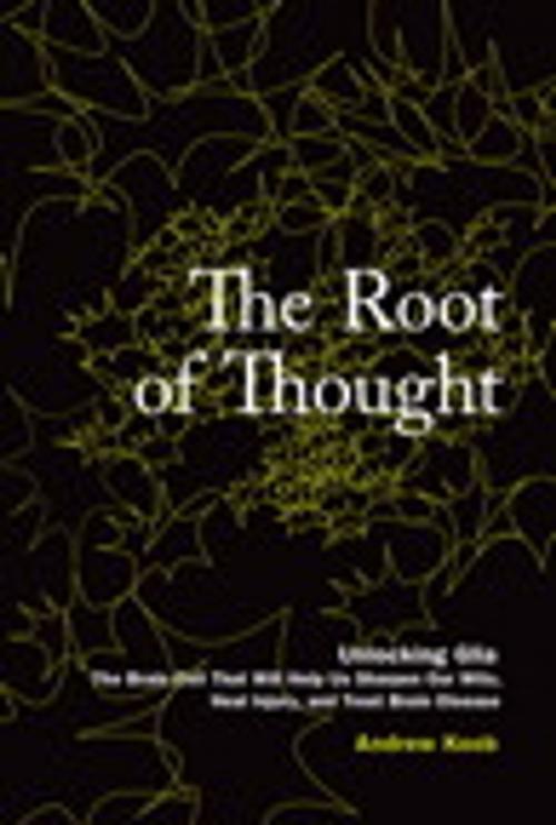 Cover of the book The Root of Thought by Andrew Koob, Pearson Education