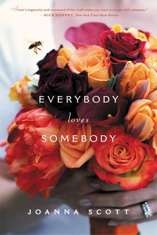 Cover of the book Everybody Loves Somebody by Joanna Scott, Little, Brown and Company