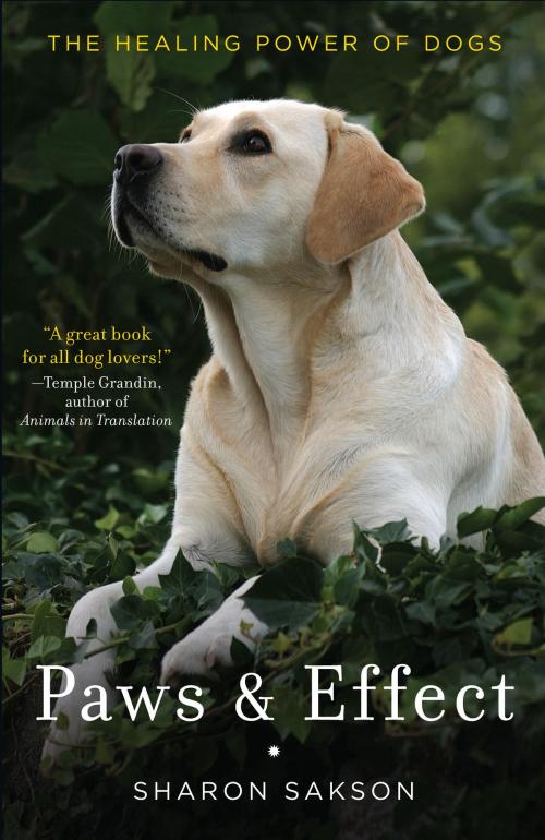Cover of the book Paws & Effect by Sharon Sakson, Random House Publishing Group