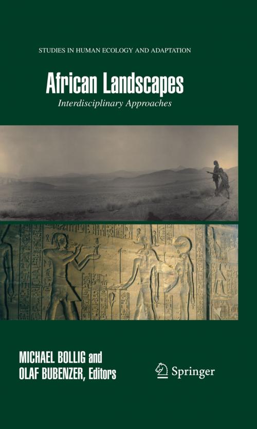 Cover of the book African Landscapes by , Springer New York