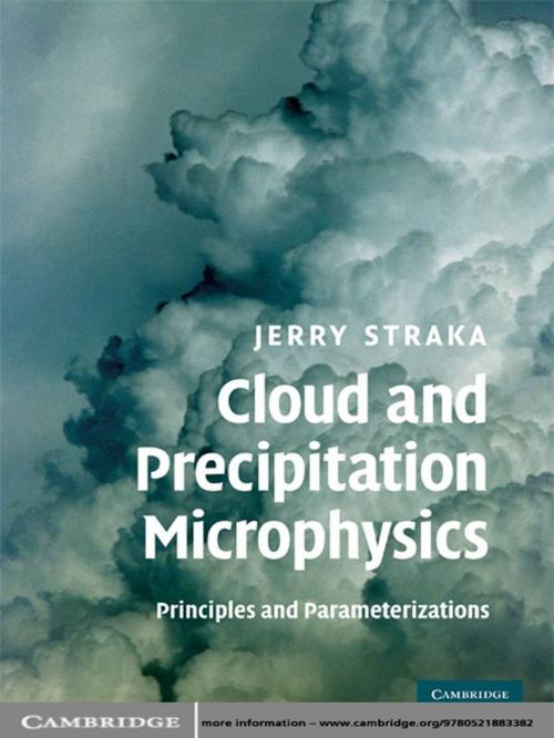 Cover of the book Cloud and Precipitation Microphysics by Jerry M. Straka, Cambridge University Press