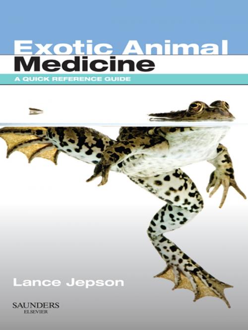 Cover of the book Exotic Animal Medicine - E-Book by Lance Jepson, MA, VetMB, CBiol, MIBiol, MRCVS, Elsevier Health Sciences