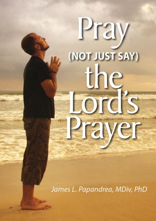 Cover of the book Pray (Not Just Say) the Lord's Prayer by James L. Papandrea, Liguori Publications