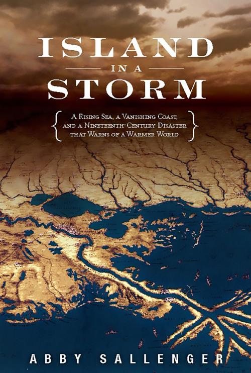 Cover of the book Island in a Storm by Abby Sallenger, PublicAffairs