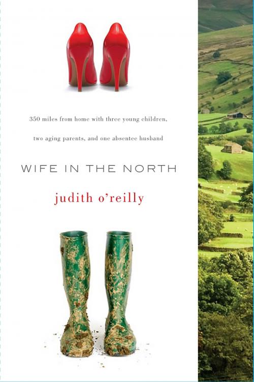 Cover of the book Wife in the North by Judith O'Reilly, PublicAffairs