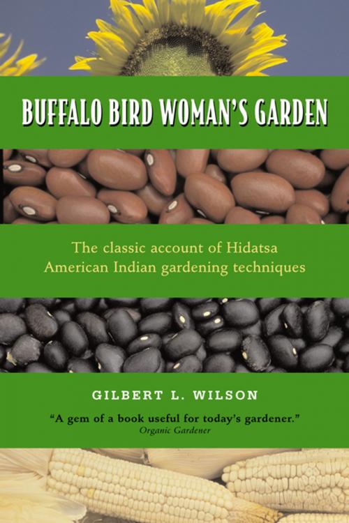 Cover of the book Buffalo Bird Woman's Garden by Gilbert L. Wilson, Minnesota Historical Society Press