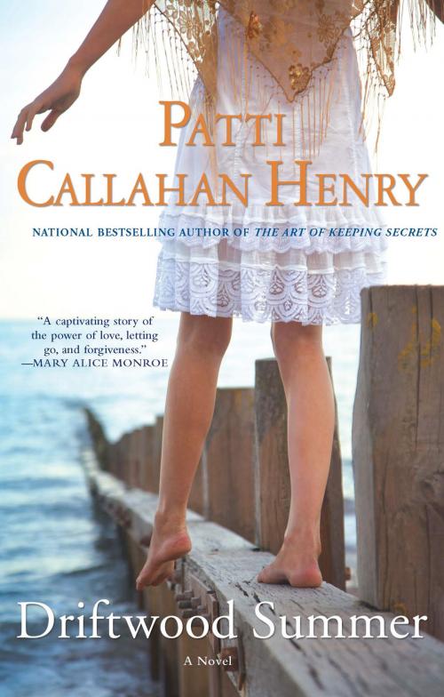 Cover of the book Driftwood Summer by Patti Callahan Henry, Penguin Publishing Group