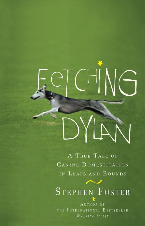 Cover of the book Fetching Dylan by Stephen Foster, Penguin Publishing Group