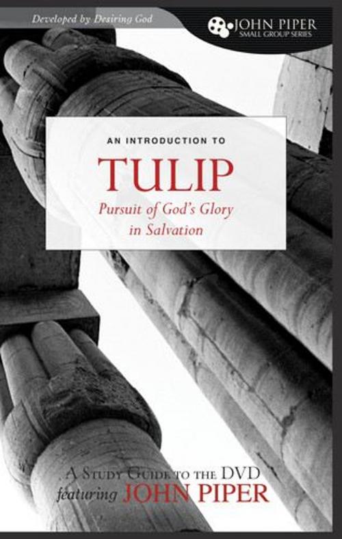 Cover of the book TULIP (A Study Guide to the DVD Featuring John Piper): The Pursuit of God's Glory in Salvation by John Piper, Crossway