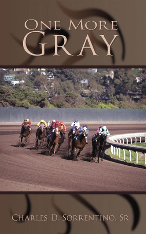 Cover of the book One More Gray by Charles D. Sorrentino, Sr., AuthorHouse