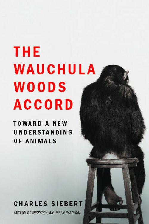 Cover of the book The Wauchula Woods Accord by Charles Siebert, Scribner