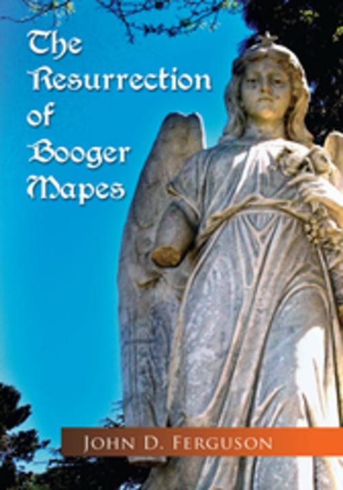 Cover of the book The Resurrection of Booger Mapes by John D. Ferguson, Xlibris US