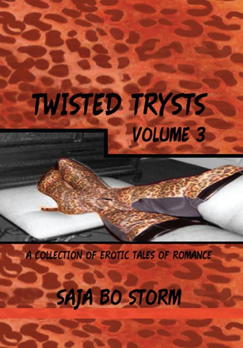Cover of the book Twisted Trysts Volume Three by Saja Bo Storm, Xlibris US