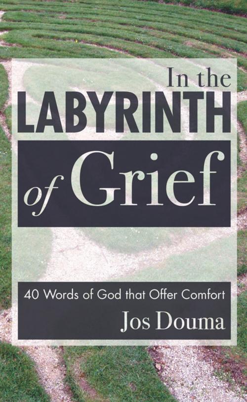 Cover of the book In the Labyrinth of Grief by Jos Douma, Wipf and Stock Publishers