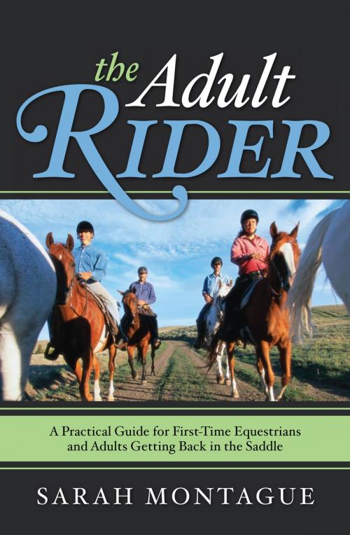 Cover of the book The Adult Rider by Sarah Montague, Taylor Trade Publishing