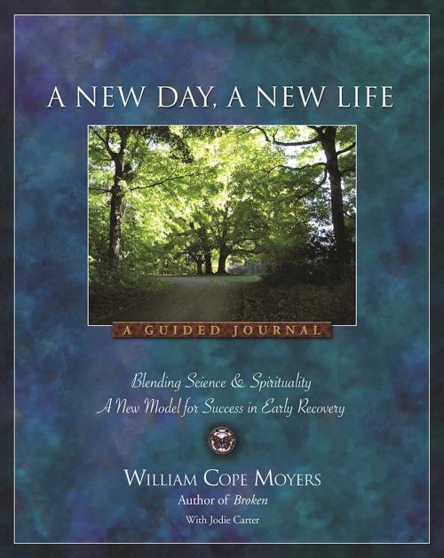 Cover of the book A New Day A New Life by William Cope Moyers, Hazelden Publishing