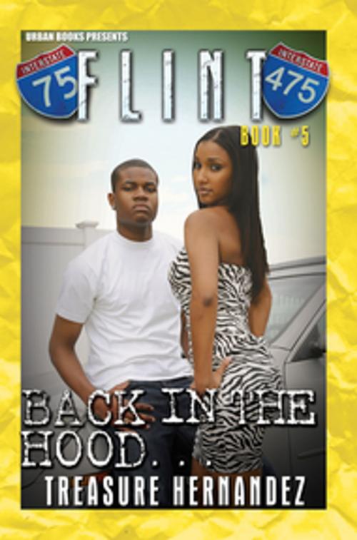 Cover of the book Flint Book 5: by Treasure Hernandez, Urban Books