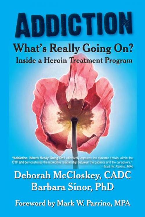 Cover of the book Addiction--What's Really Going on? by Deborah McCloskey, Barbara Sinor, Loving Healing Press