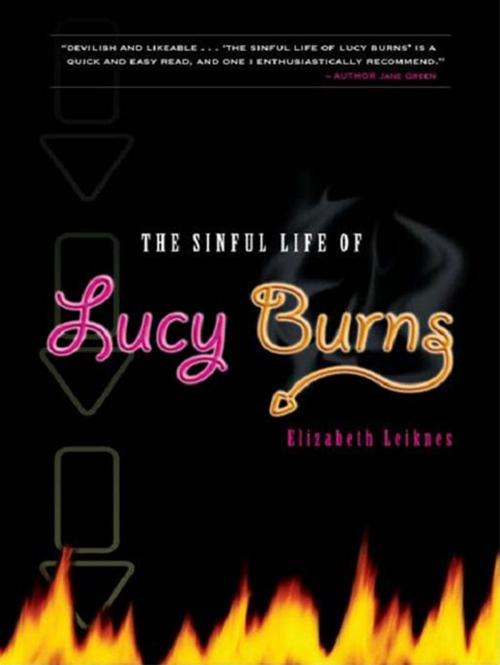 Cover of the book The Sinful Life Of Lucy Burns by Elizabeth Leiknes, Bancroft Press