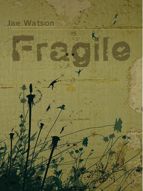 Cover of the book Fragile by Jae Watson, Legend Times Group