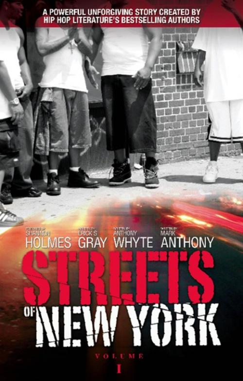 Cover of the book Streets of New York by Mark Anthony, Erick   S Gray, Anthony Whyte, Augustus Publishing