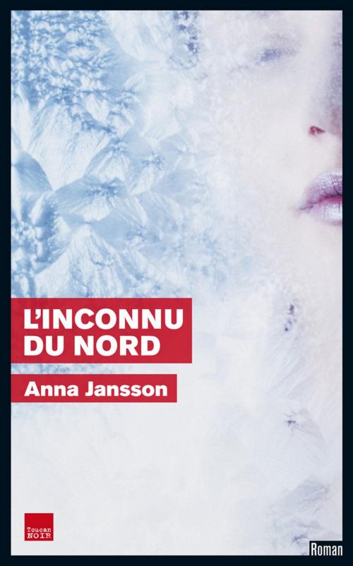 Cover of the book L'Inconnu du Nord by Anna Jansson, Editions Toucan