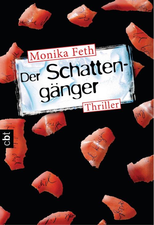 Cover of the book Der Schattengänger by Monika Feth, cbt