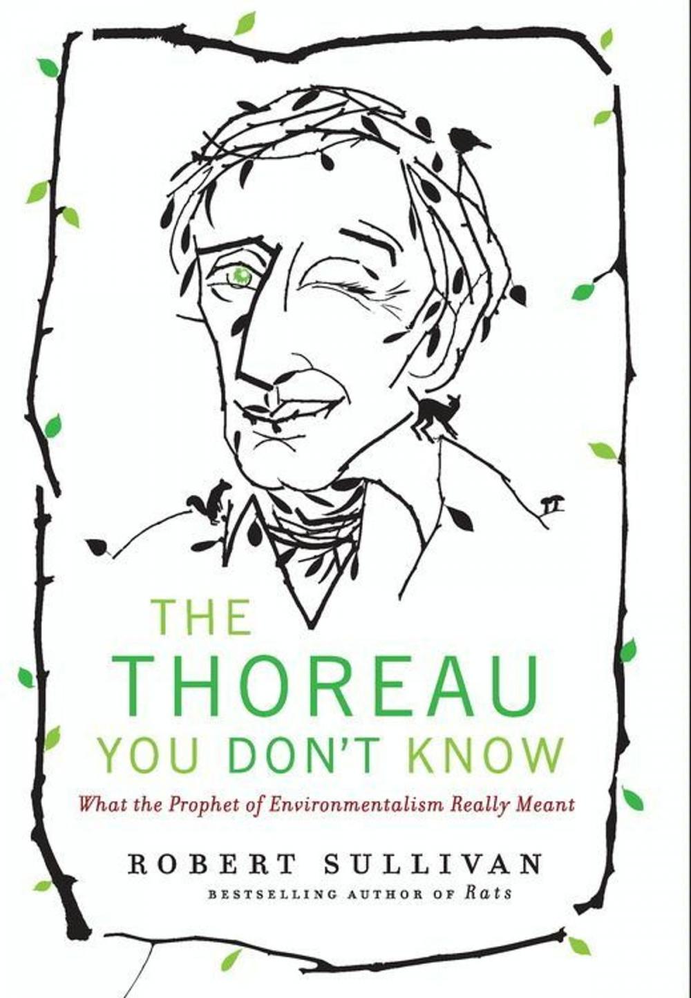 Big bigCover of The Thoreau You Don't Know