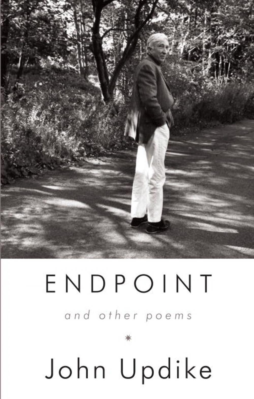 Big bigCover of Endpoint and Other Poems
